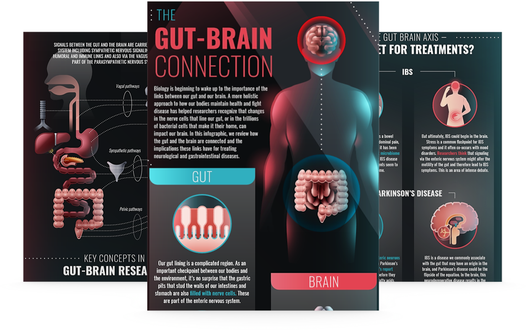 The Gut-Brain Connection